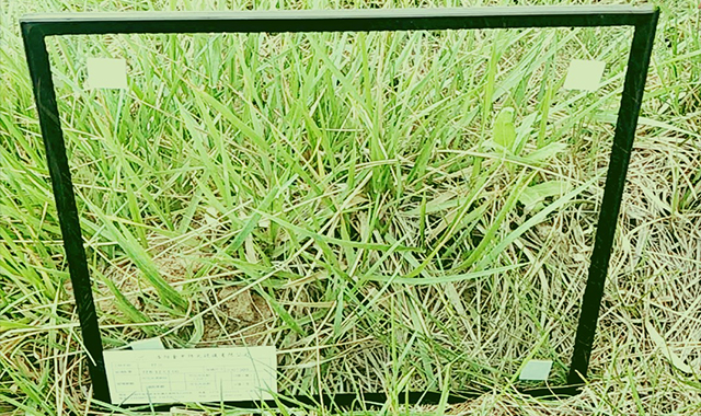 1592463352837368.jpg 2.jpg